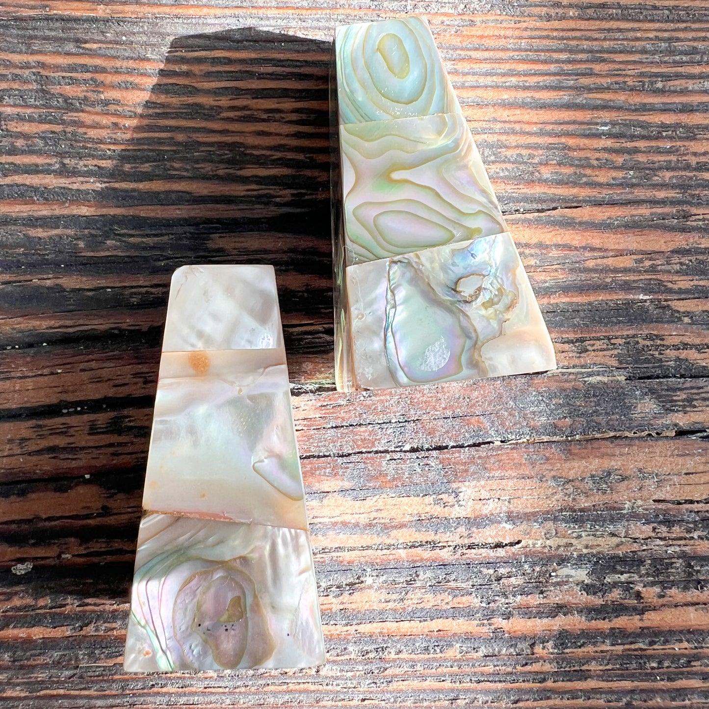 Vintage Abalone Shell Salt Pepper Shakers