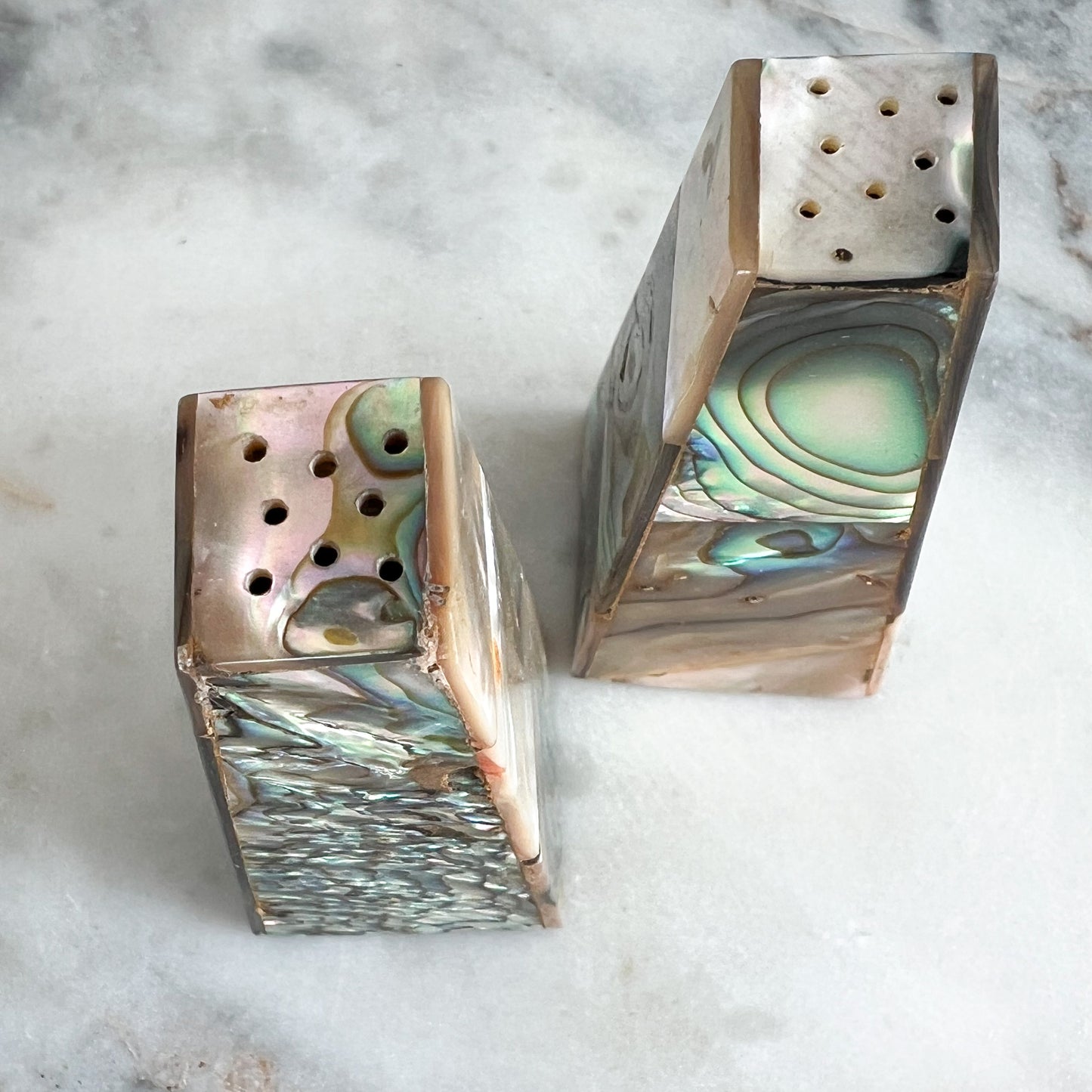Vintage Abalone Shell Salt Pepper Shakers