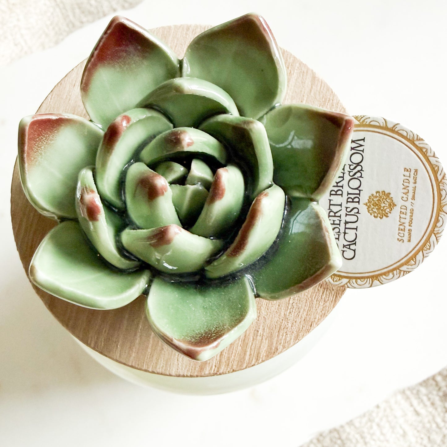 Desert Breeze Cactus Blossom Ceramic Succulent Candle - BelleStyle