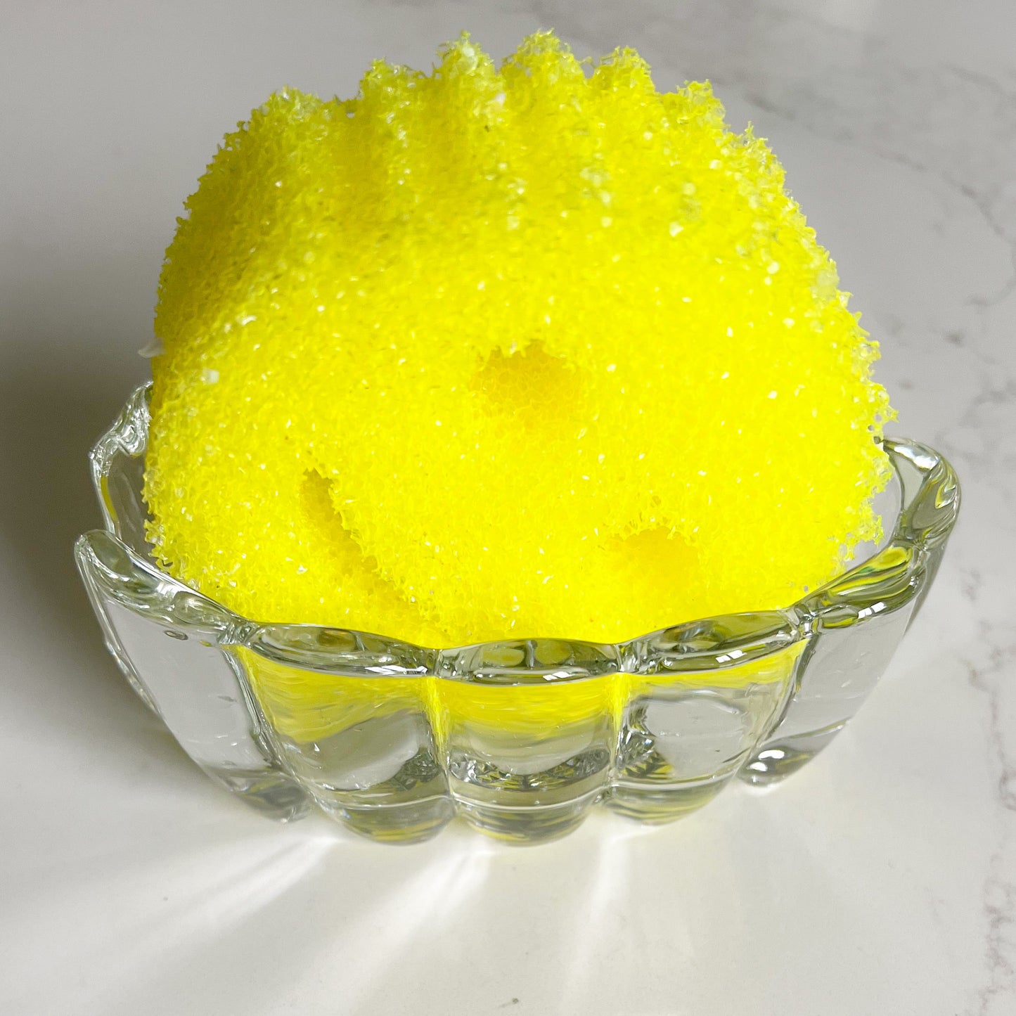 Tulip Crystal Sponge Dish - BelleStyle
