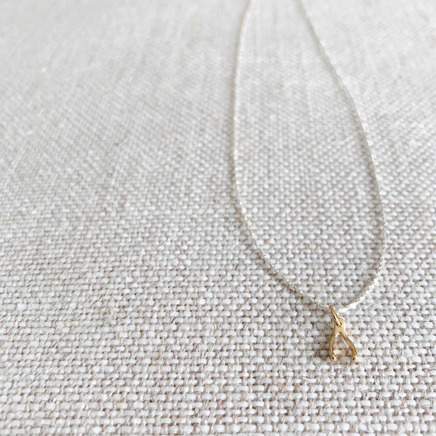 Wishbone Mini Necklace - BelleStyle