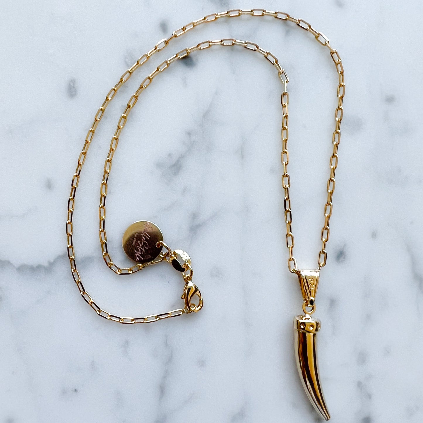 Italian Horn Gold Link Necklace - BelleStyle