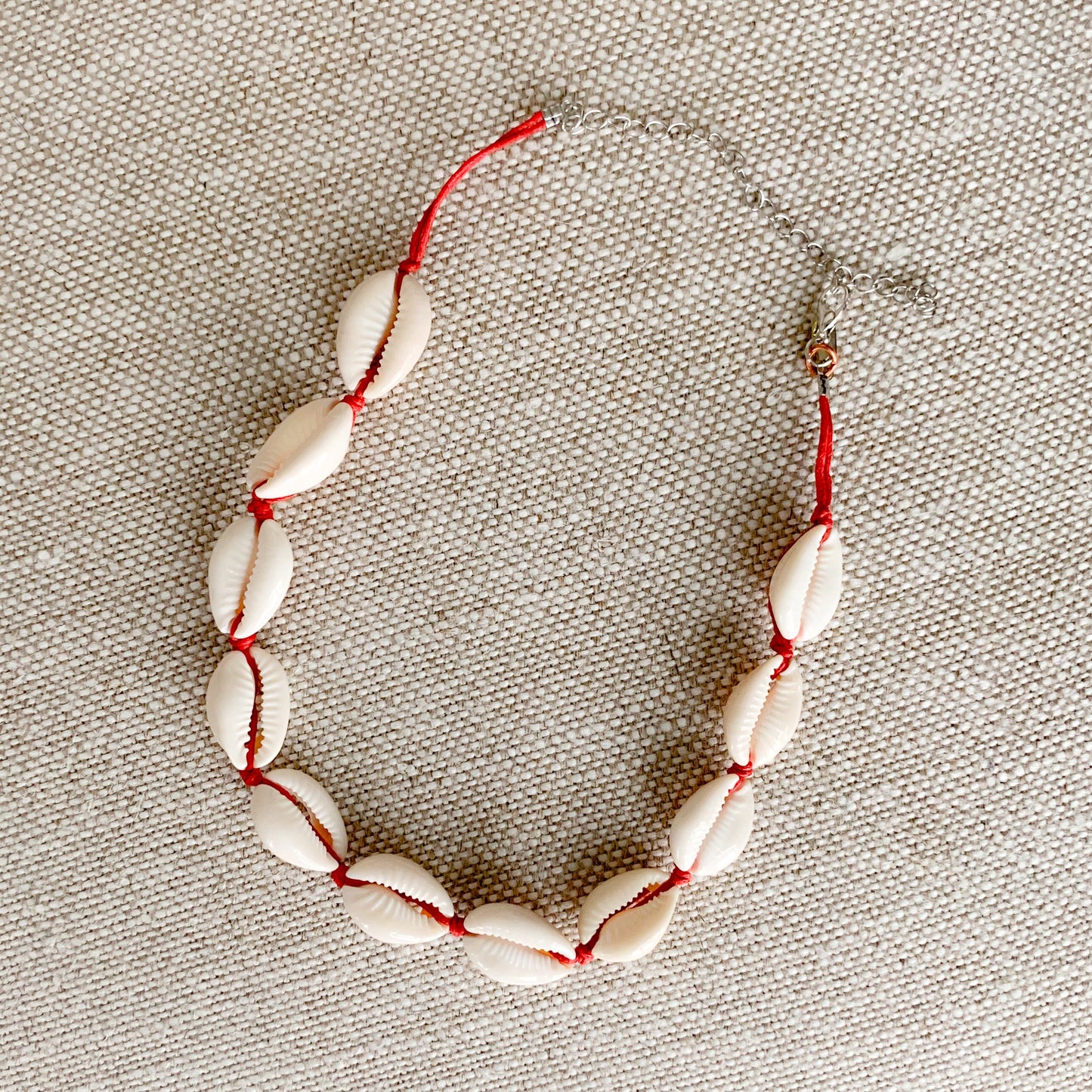 Cowrie Choker Necklace - BelleStyle
