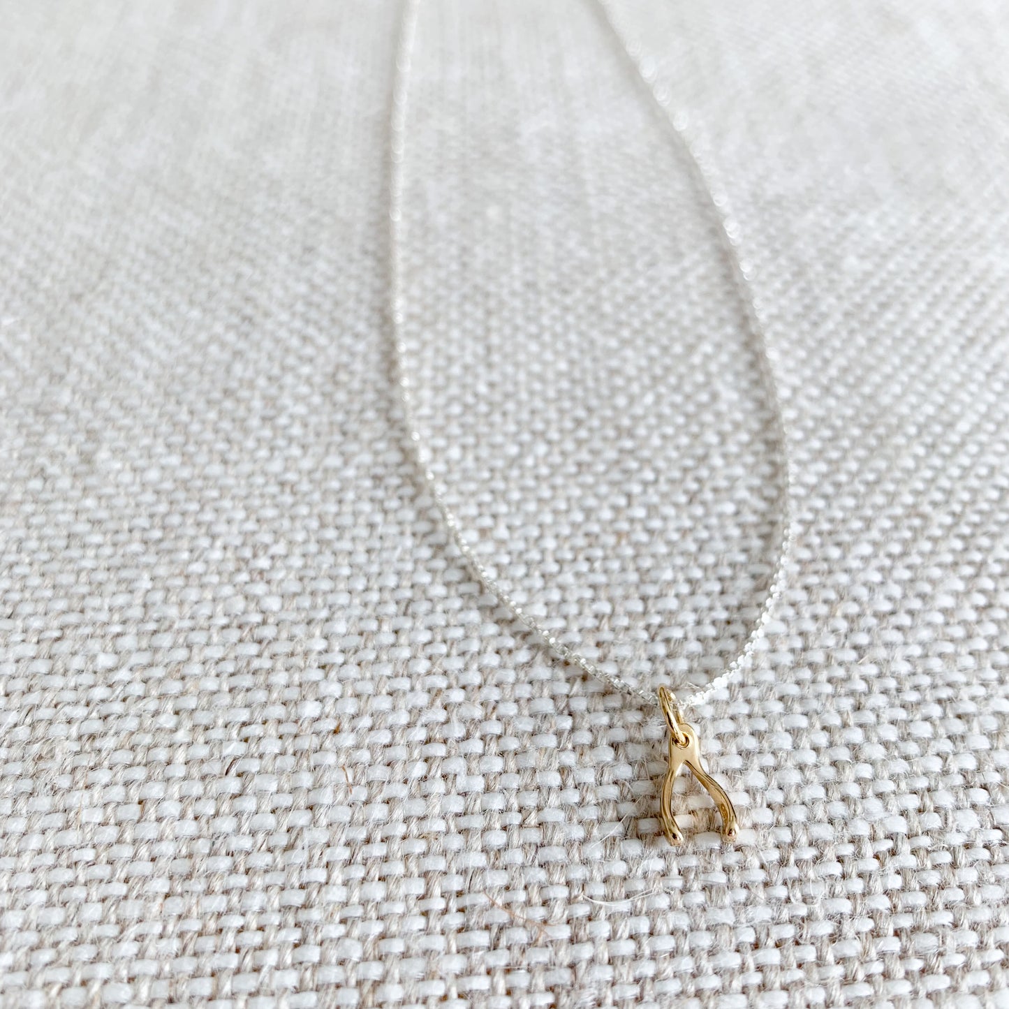 Wishbone Mini Necklace - BelleStyle