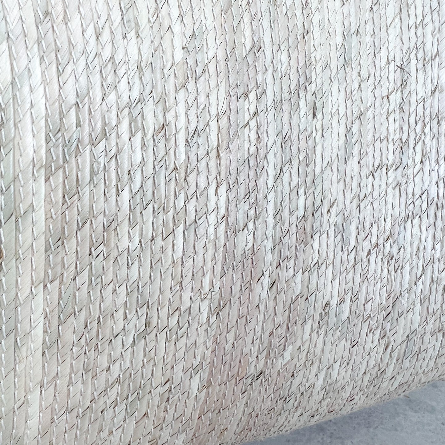 Tula Palm Tote Bag