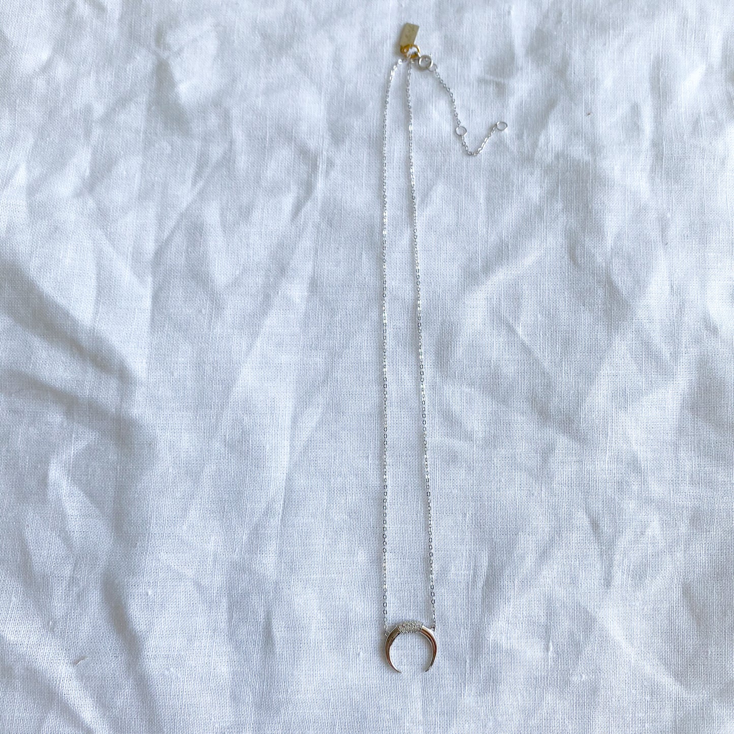 Crescent Moon Horn Silver Necklace - BelleStyle