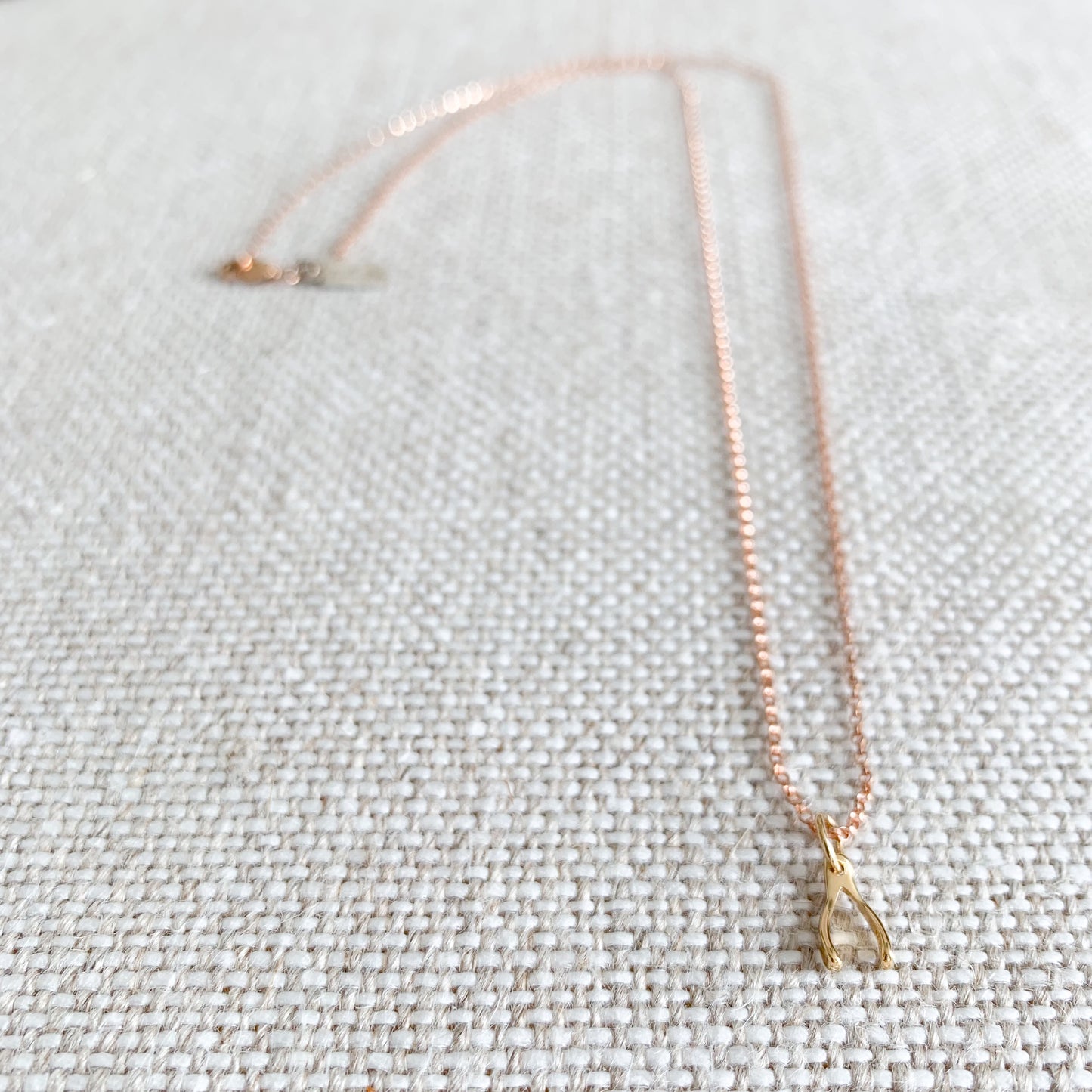 Wishbone Mini Necklace - BelleStyle