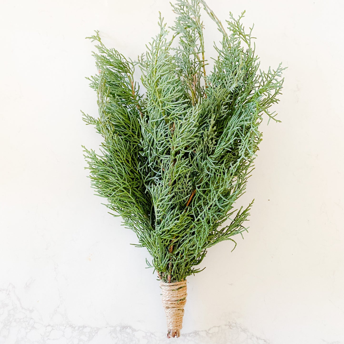 Juniper Bundle - BelleStyle