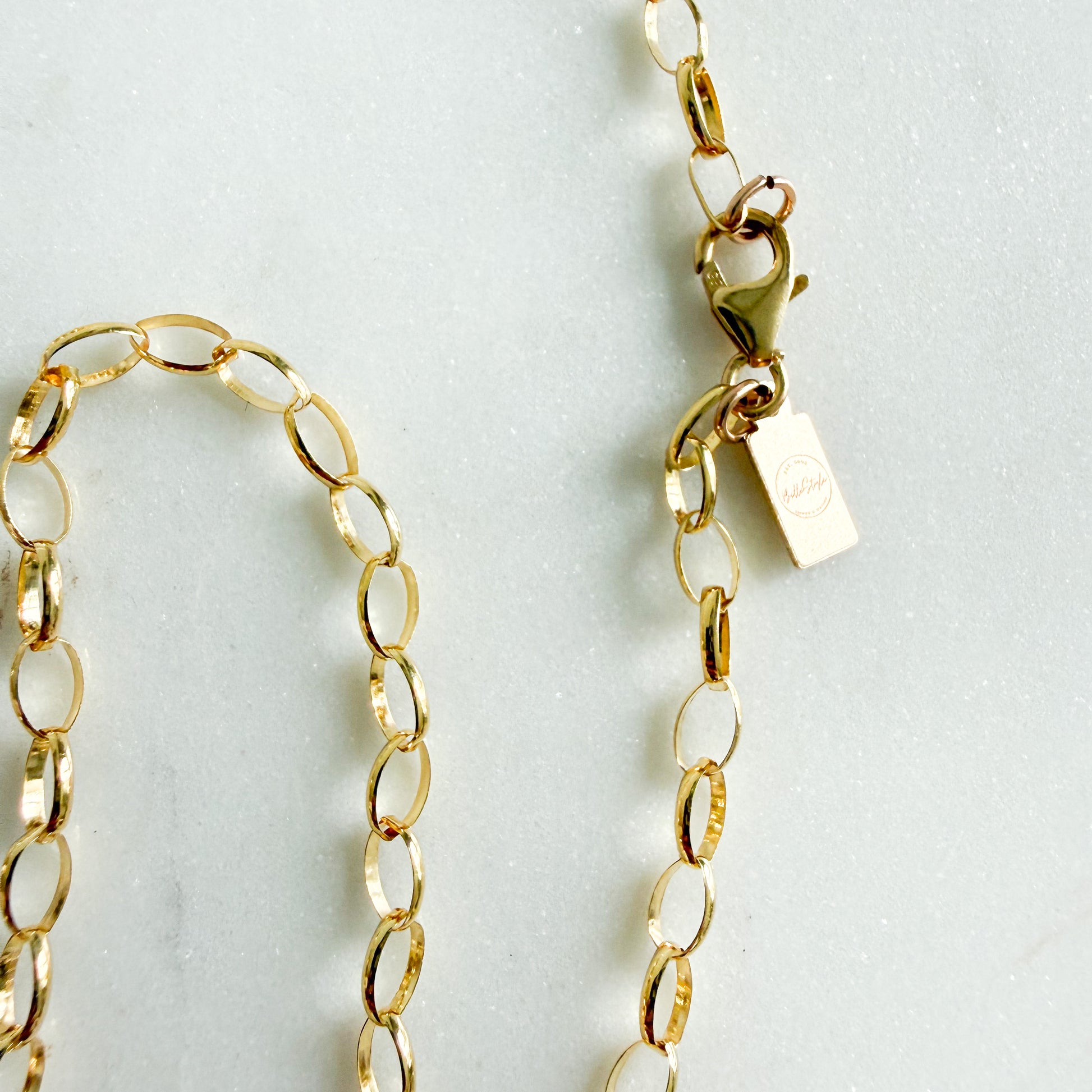 Alessandra Fish Charm 14KTGF Oval Chain Necklace