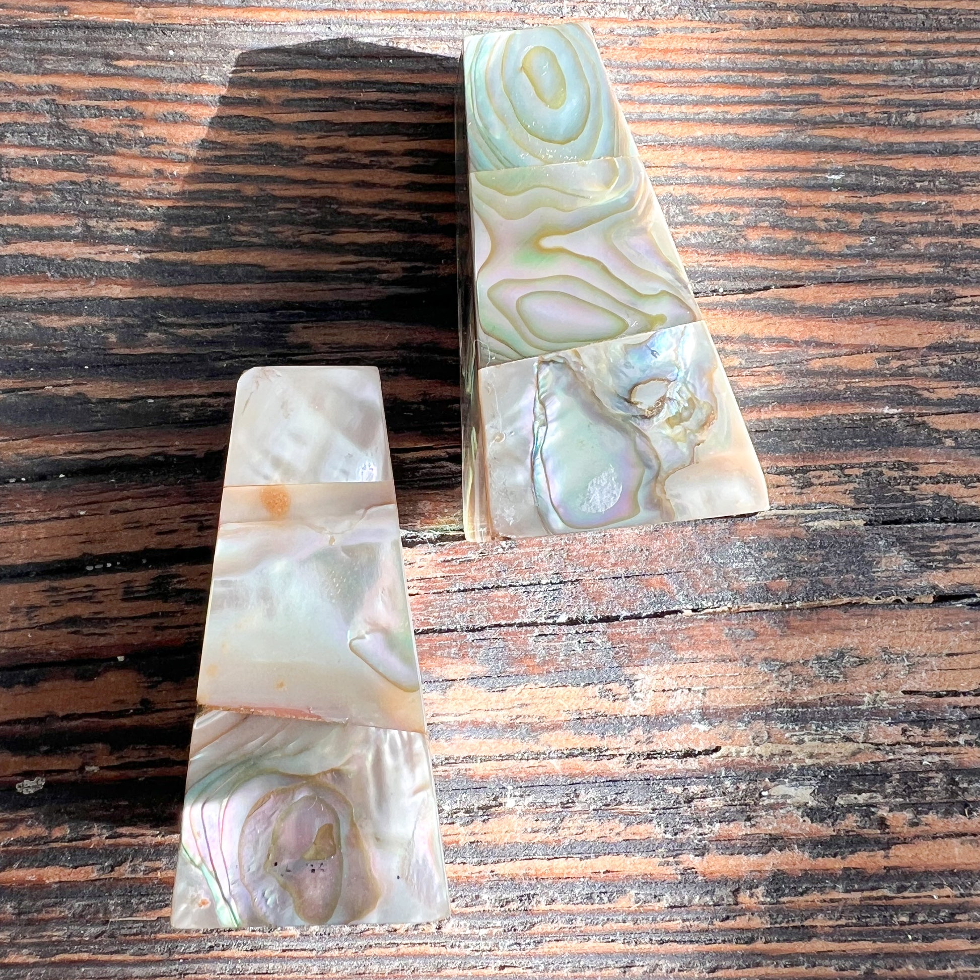 Vintage Abalone Shell  Salt Pepper Shakers