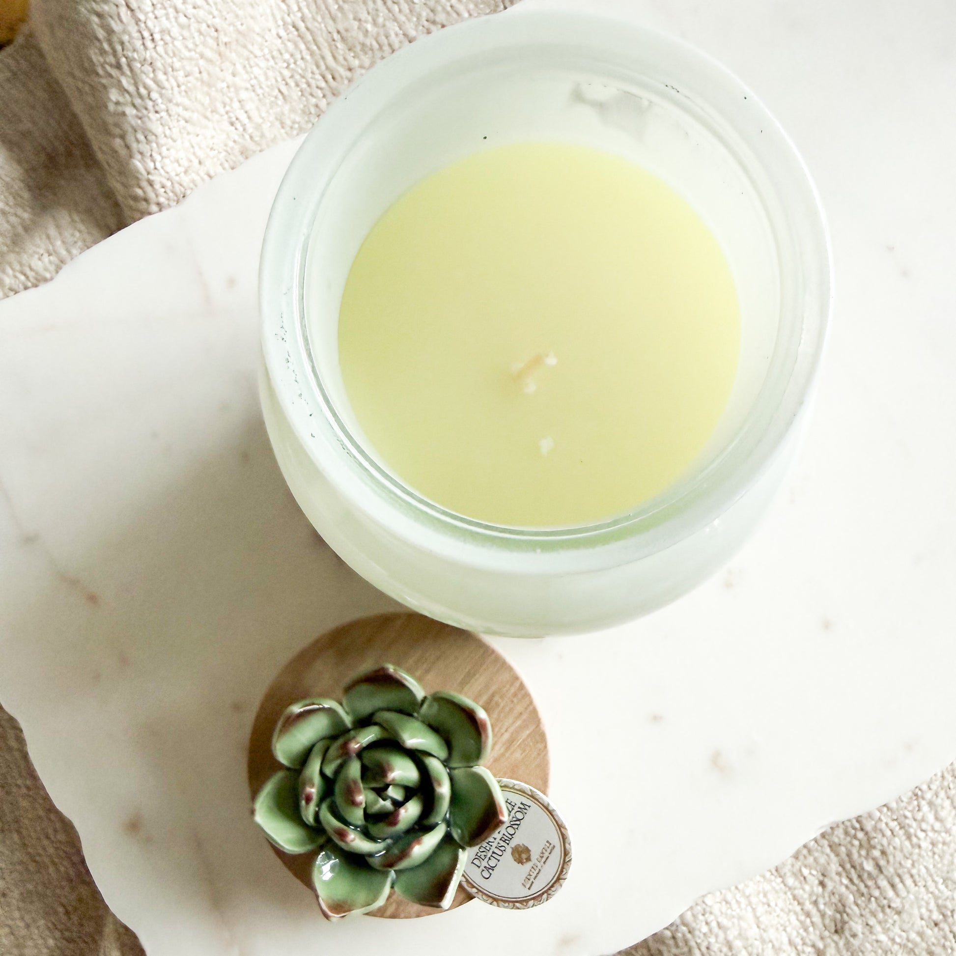 Desert Breeze Cactus Blossom Ceramic Succulent Candle - BelleStyle