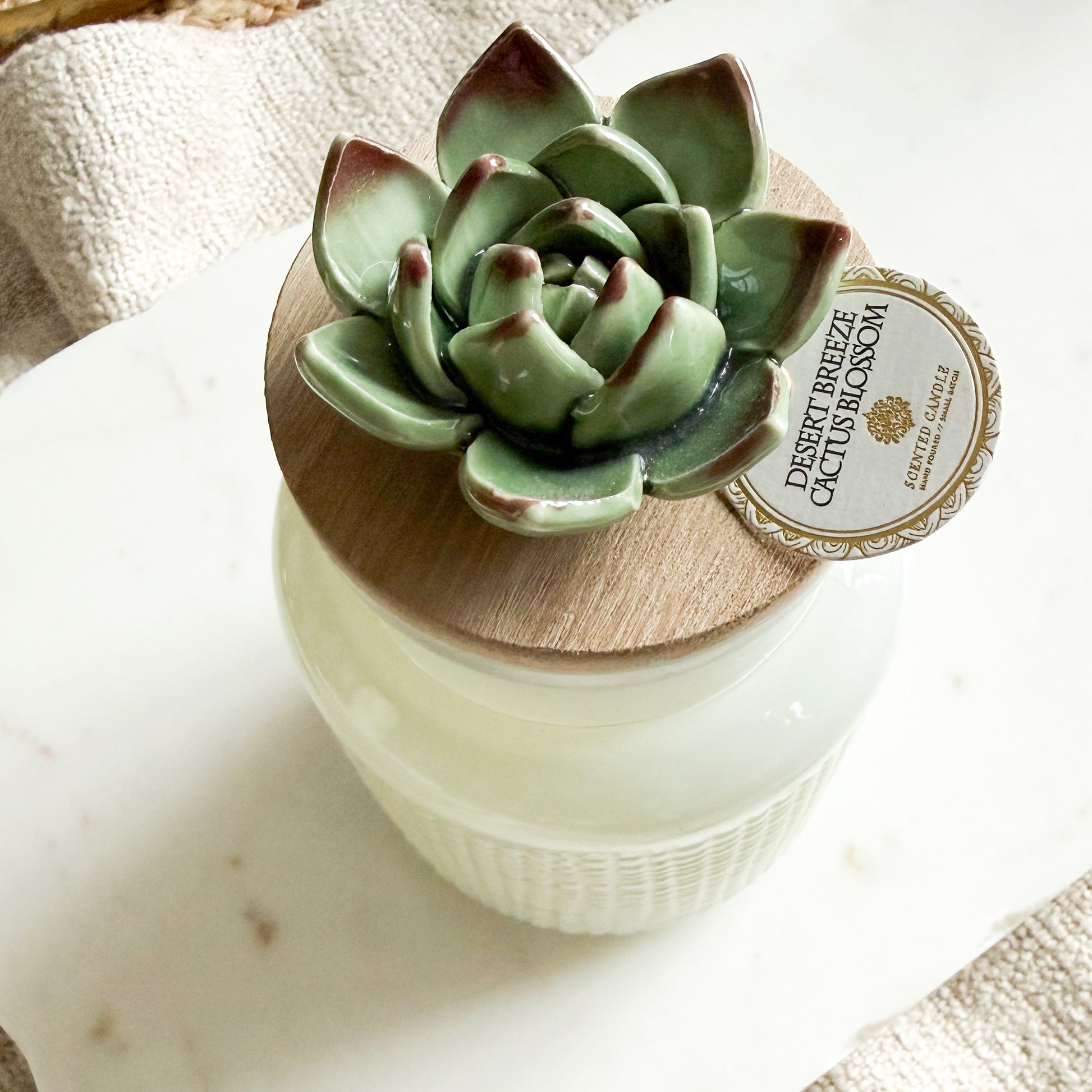 Desert Breeze Cactus Blossom Ceramic Succulent Candle - BelleStyle