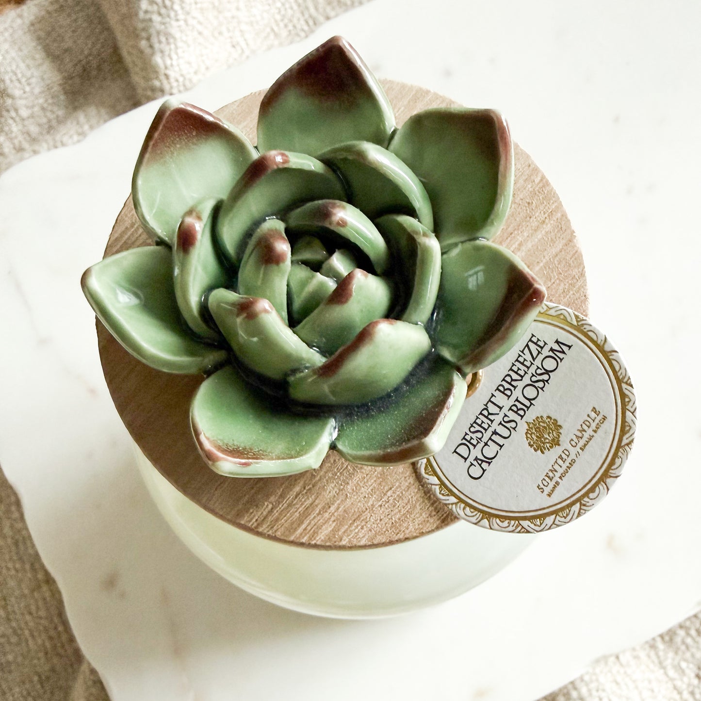 Desert Breeze Cactus Blossom Ceramic Succulent Candle - BelleStyle