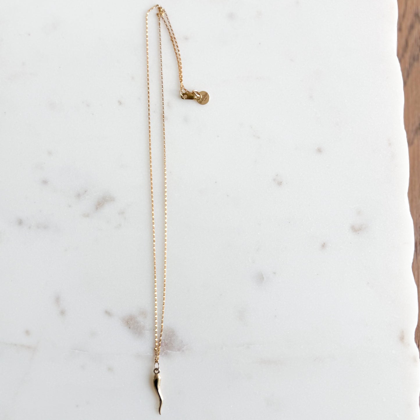 Sarno Gold 14KT Italian Horn Charm Rolo 20” Necklace