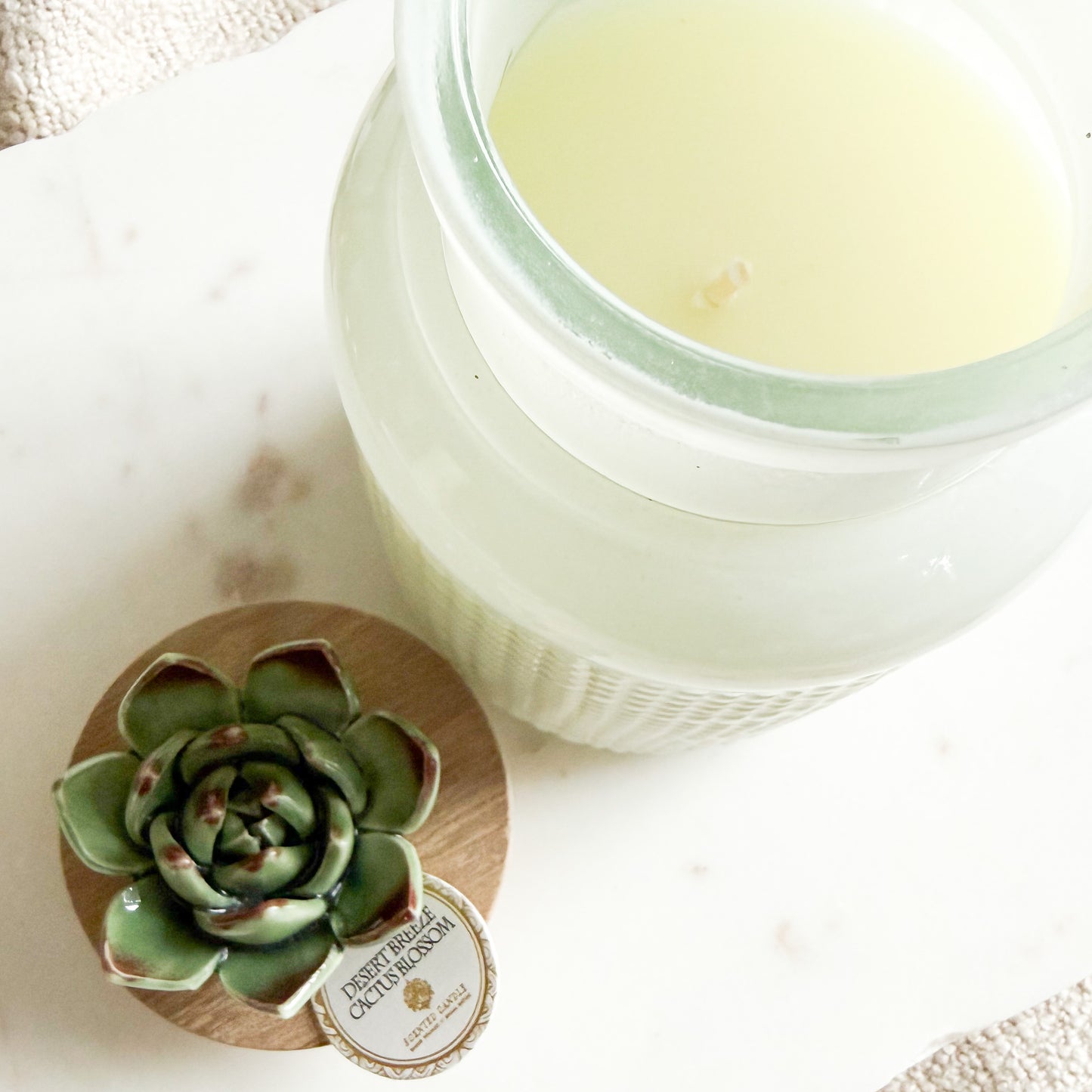Desert Breeze Cactus Blossom Ceramic Succulent Candle - BelleStyle