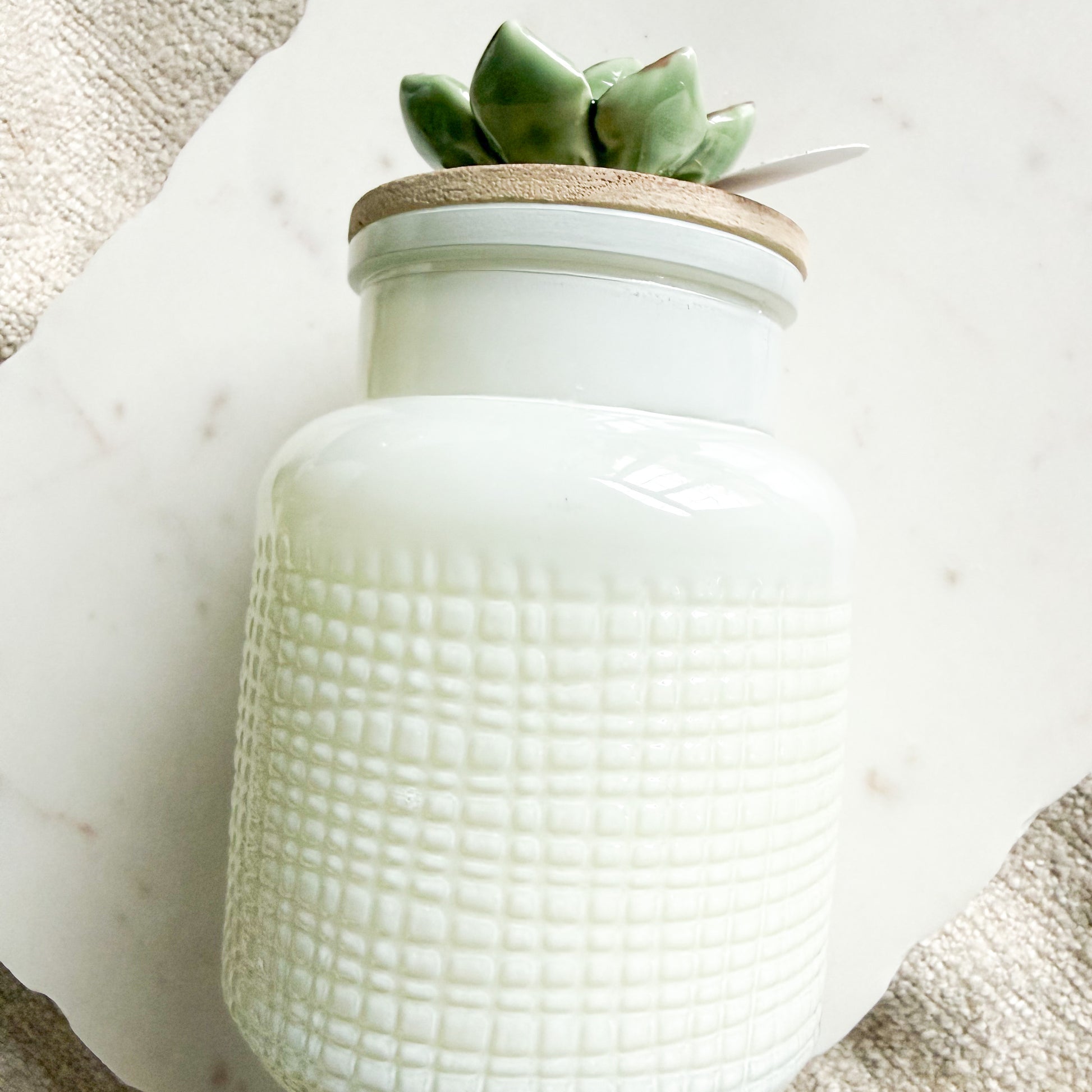 Desert Breeze Cactus Blossom Ceramic Succulent Candle - BelleStyle