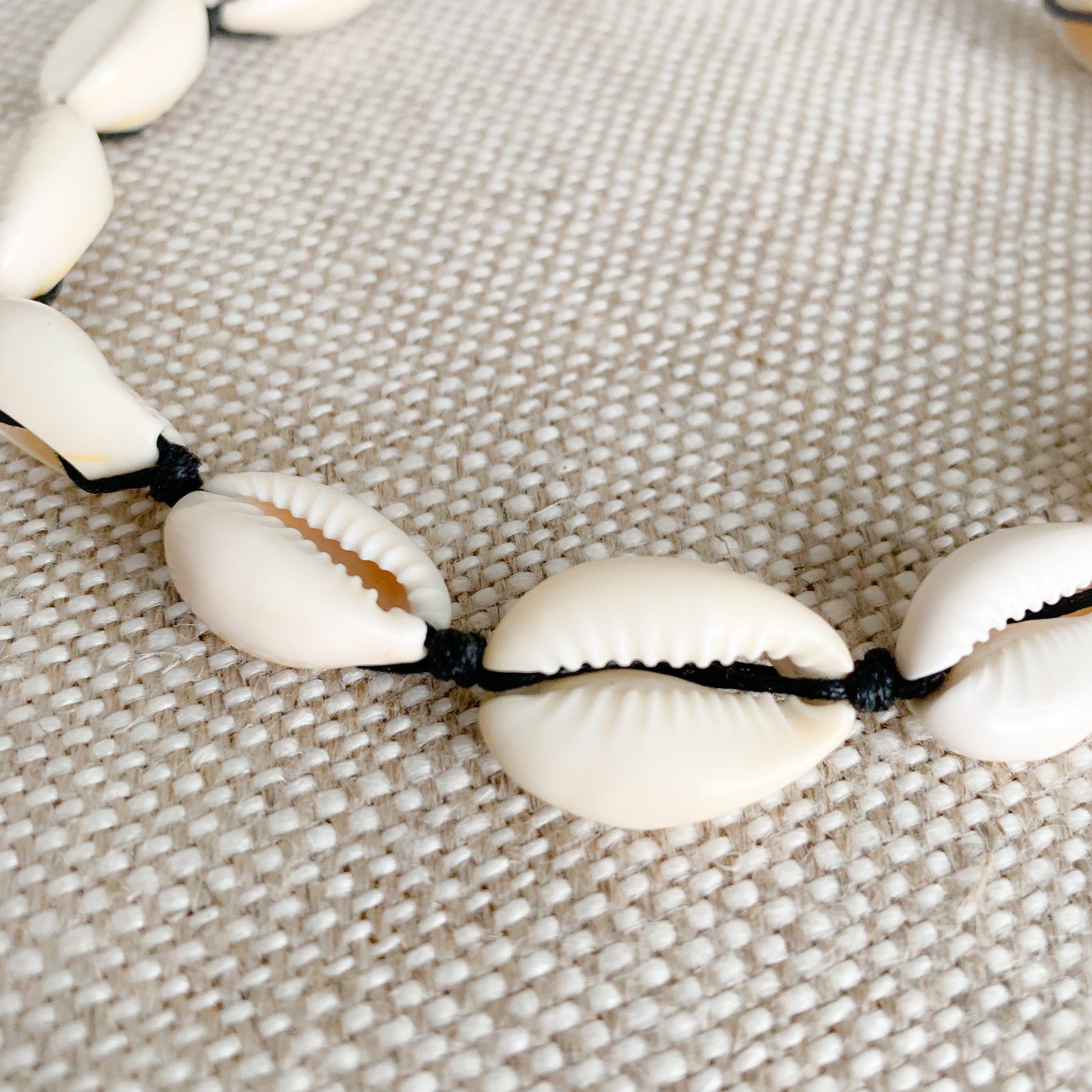 Cowrie Choker Necklace - BelleStyle