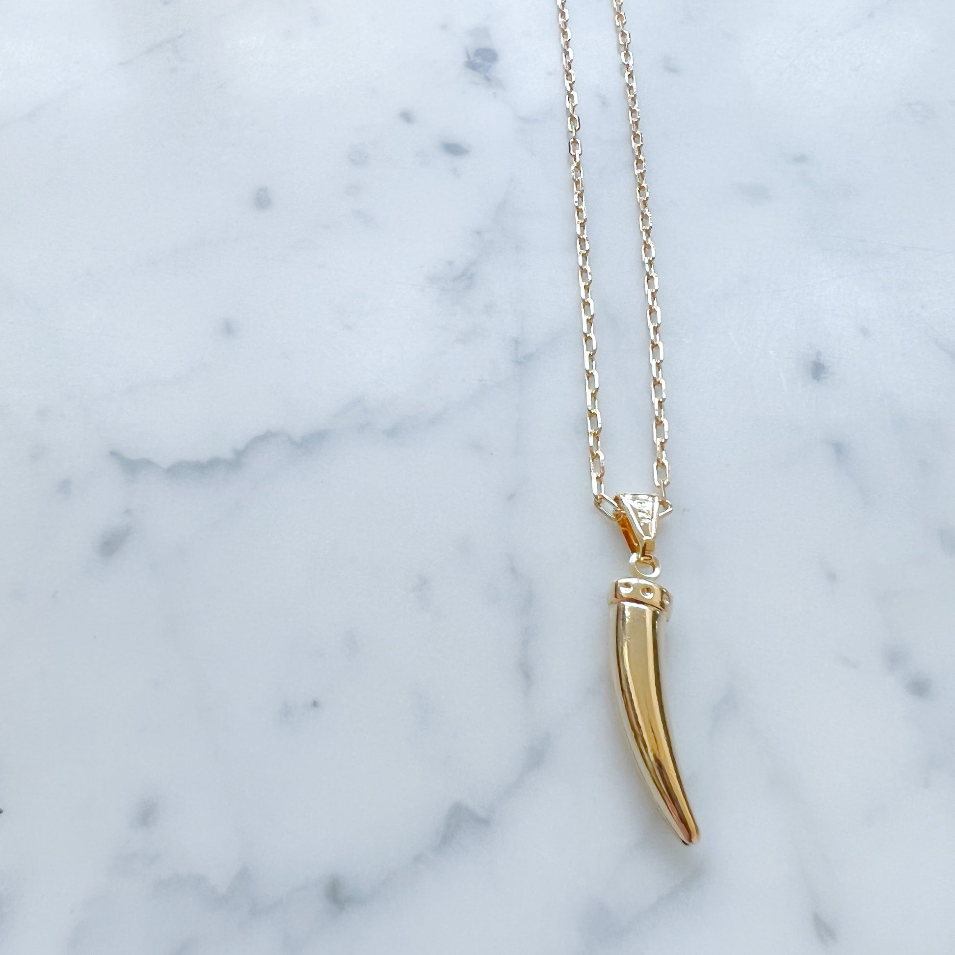 Italian Horn Gold Necklace - BelleStyle