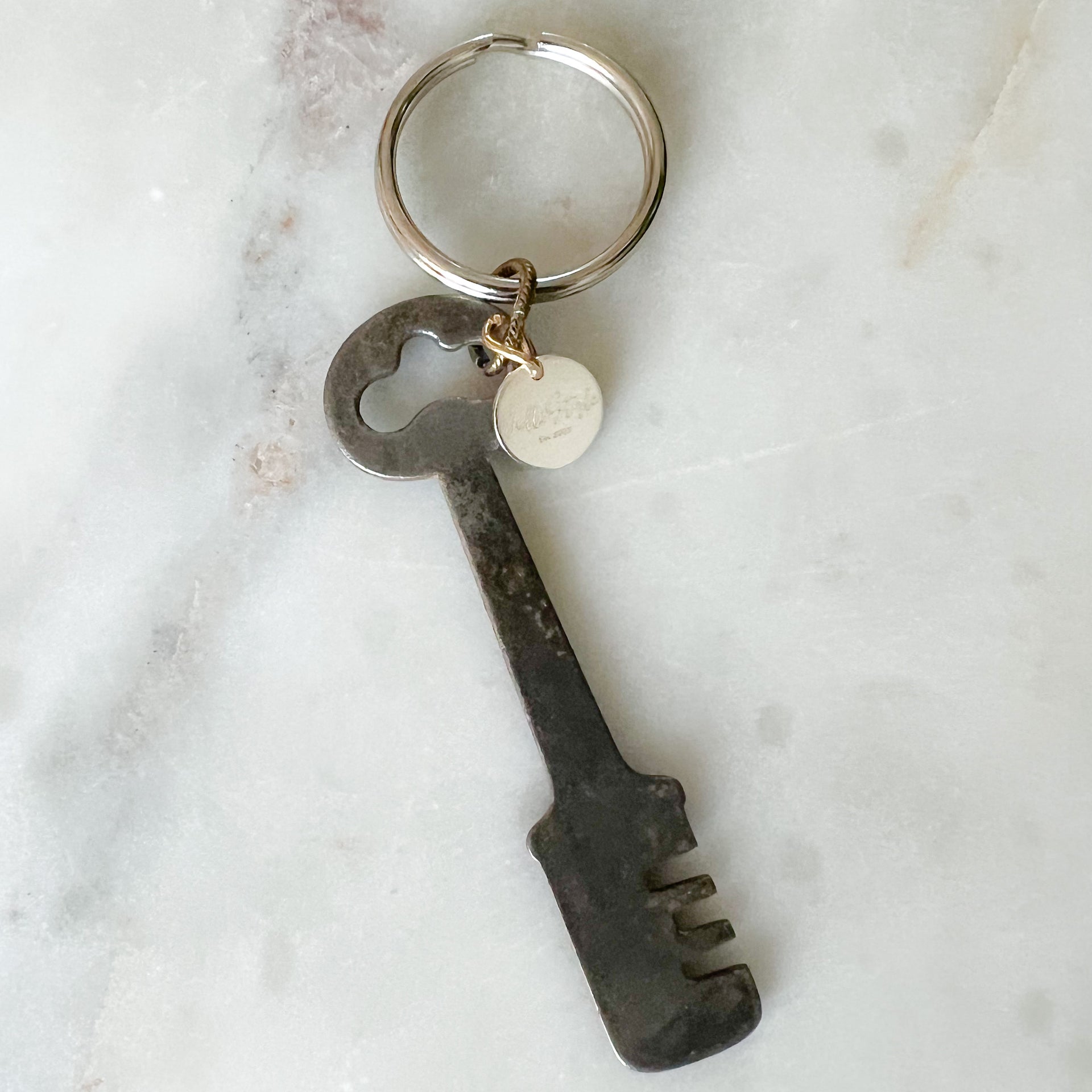 Antique Darwin Skeleton Key Keychain