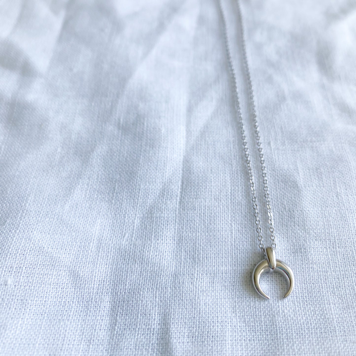 Crescent Moon Horn Mini Silver Necklace - BelleStyle