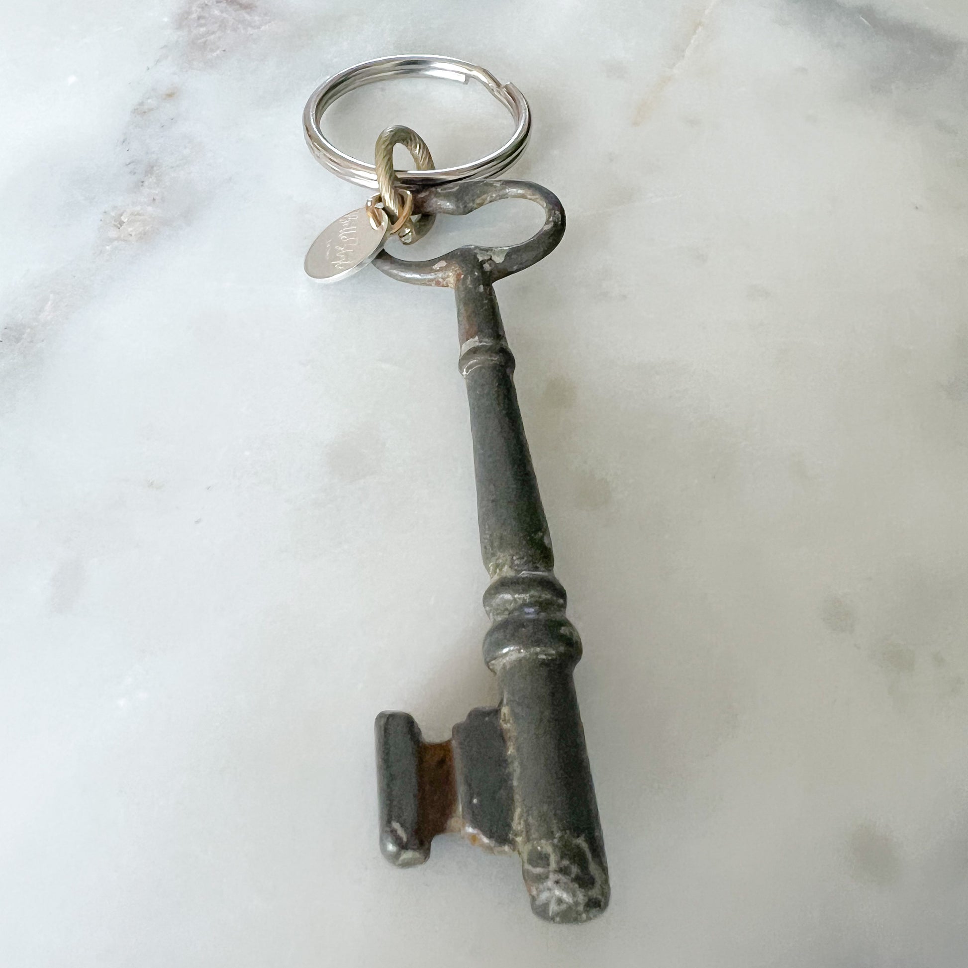 Antique Darwin Skeleton Key Keychain - BelleStyle